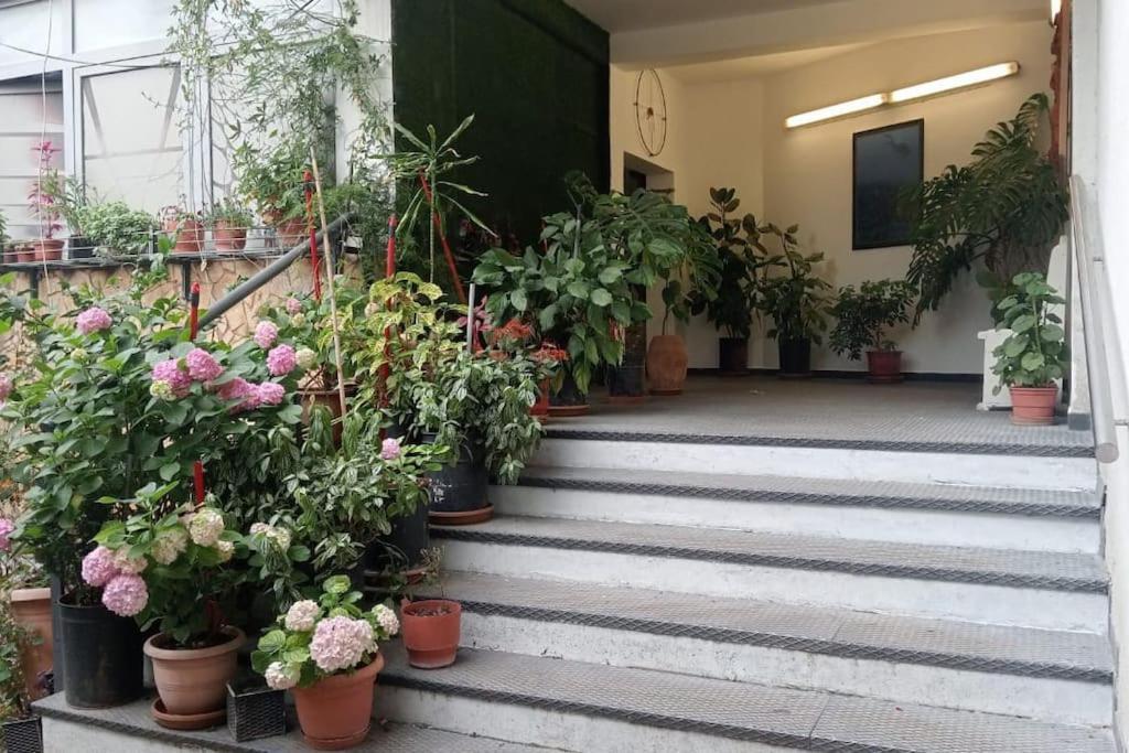 Pazari_Ri_Studio Apartment ติรานา ภายนอก รูปภาพ